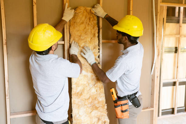 Professional Insulation in Lennox, CA